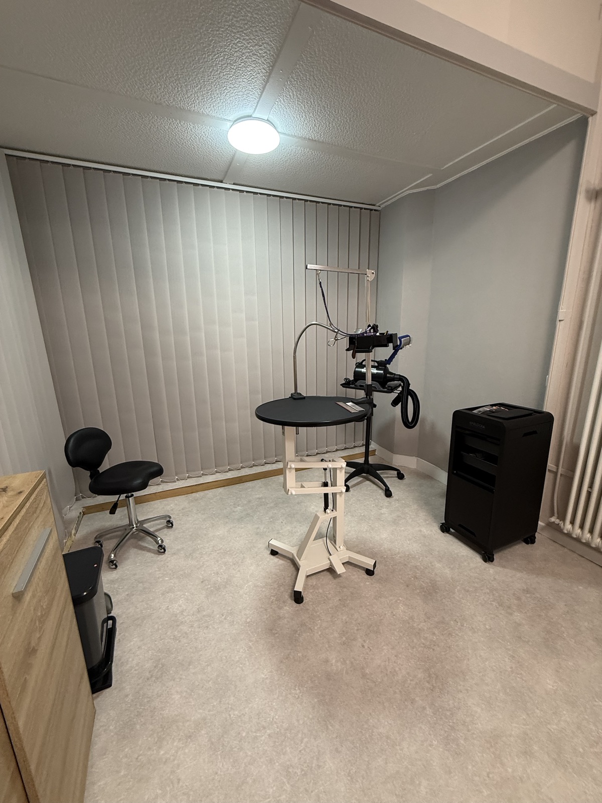 Grooming-Arbeitsplatz im Fellzauber Salon